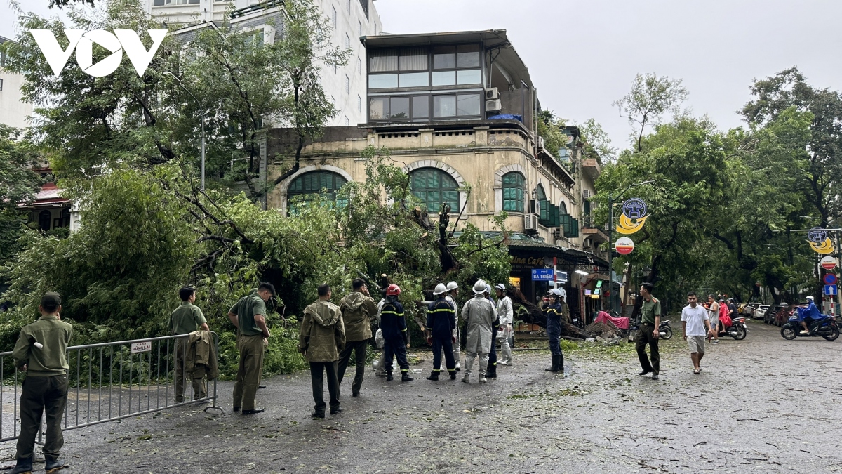 ha noi se thu don cay do trong 24h hinh anh 10