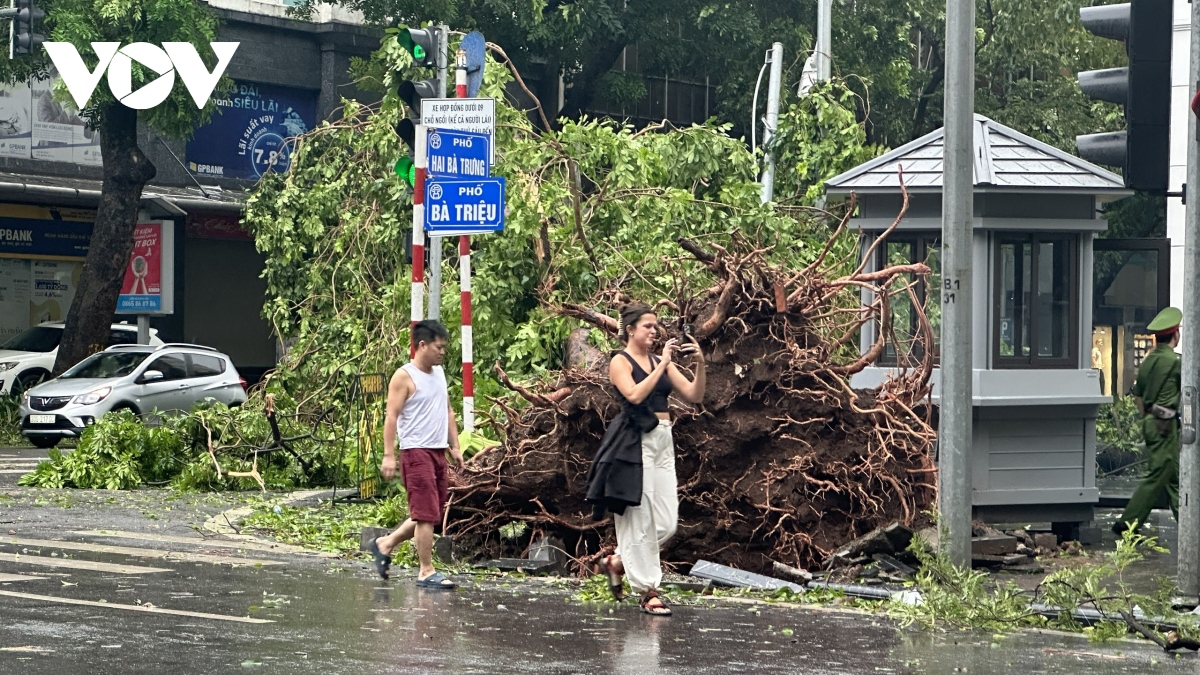 ha noi se thu don cay do trong 24h hinh anh 7