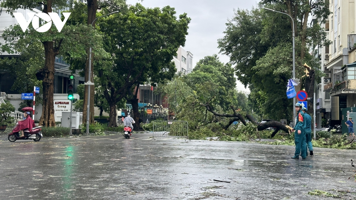 ha noi se thu don cay do trong 24h hinh anh 11