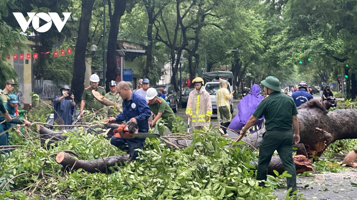 ha noi se thu don cay do boi bao so 3 trong 24h hinh anh 12