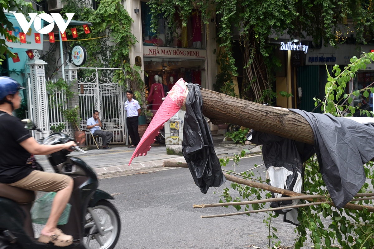 cay xanh gay do van ngon ngang tren duong pho ha noi hinh anh 9