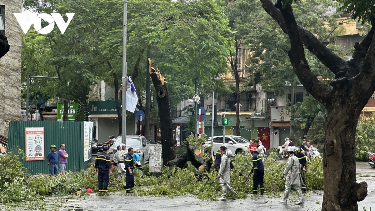 ha noi se thu don cay do boi bao so 3 trong 24h hinh anh 14