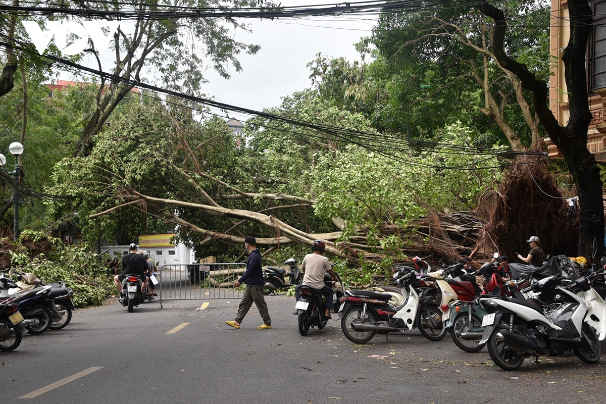 Cây xanh gãy đổ như "bẫy" vẫn ngổn ngang trên đường phố