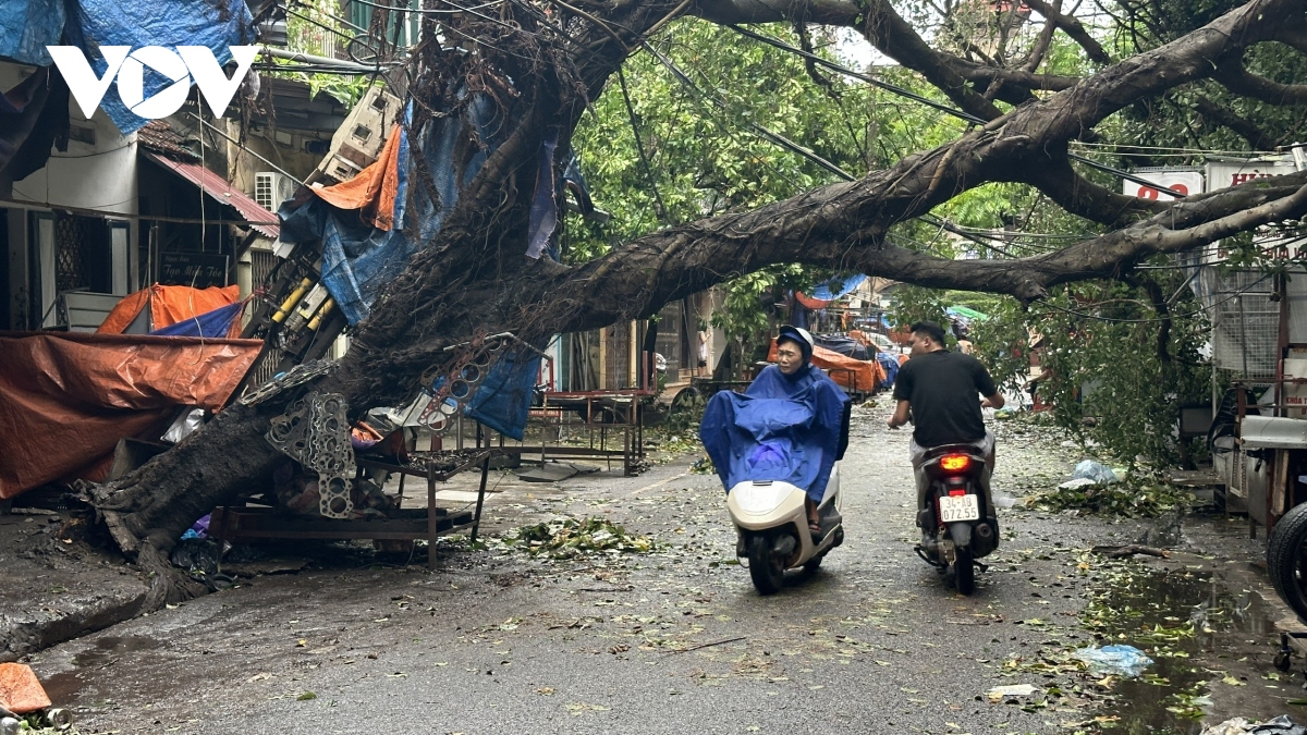 ha noi se thu don cay do boi bao so 3 trong 24h hinh anh 5