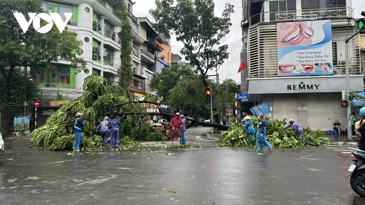 ha noi se thu don cay do trong 24h hinh anh 8