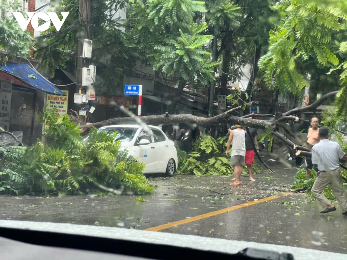 Bộ GD-ĐT: Sẵn sàng cho người dân vào tránh trú trong các trường học đủ an toàn