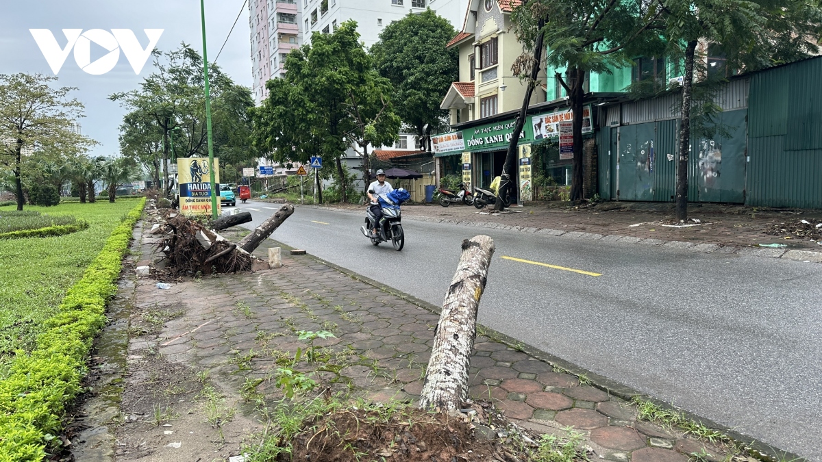 hai tuan sau bao so 3, nhieu tuyen pho, khu do thi o ha noi van ngon ngang cay bat goc hinh anh 4