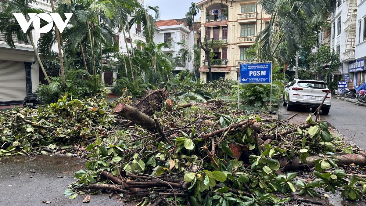 hai tuan sau bao so 3, nhieu tuyen pho, khu do thi o ha noi van ngon ngang cay bat goc hinh anh 9