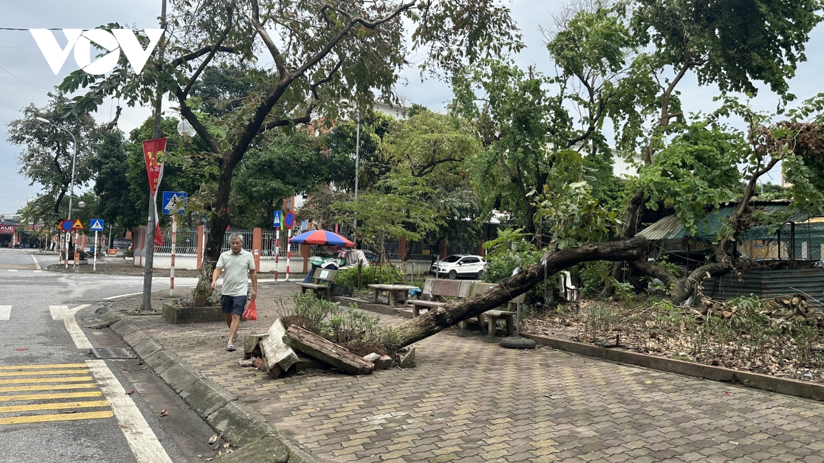 hai tuan sau bao so 3, nhieu tuyen pho, khu do thi o ha noi van ngon ngang cay bat goc hinh anh 11