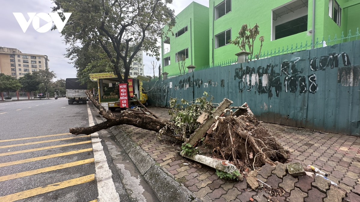 hai tuan sau bao so 3, nhieu tuyen pho, khu do thi o ha noi van ngon ngang cay bat goc hinh anh 14