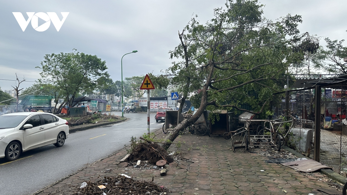 Hai tuần sau bão, nhiều tuyến phố, khu đô thị ở Hoàng Mai vẫn ngổn ngang cây bật gốc