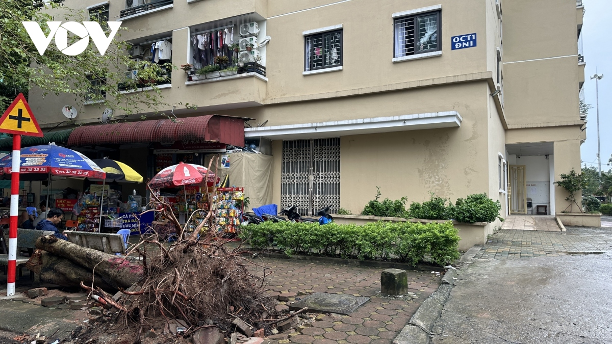 hai tuan sau bao so 3, nhieu tuyen pho, khu do thi o ha noi van ngon ngang cay bat goc hinh anh 6