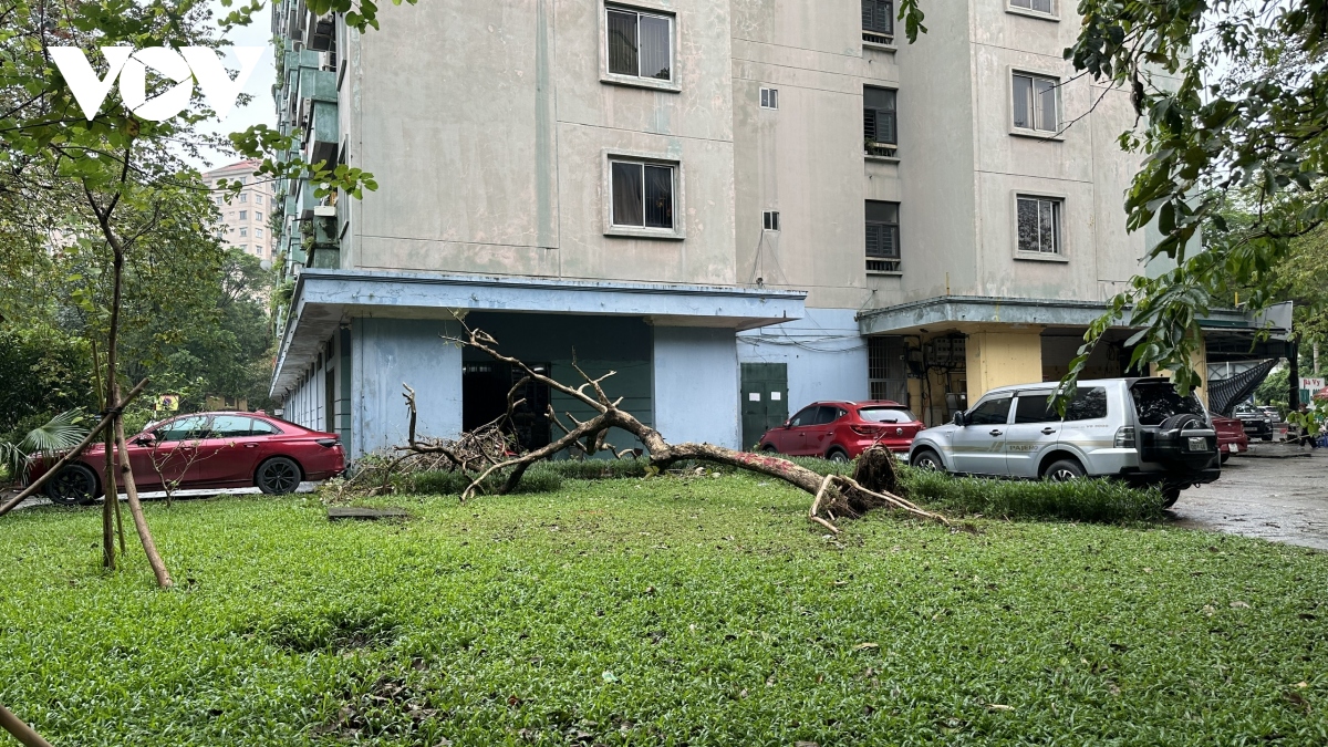 hai tuan sau bao so 3, nhieu tuyen pho, khu do thi o ha noi van ngon ngang cay bat goc hinh anh 7