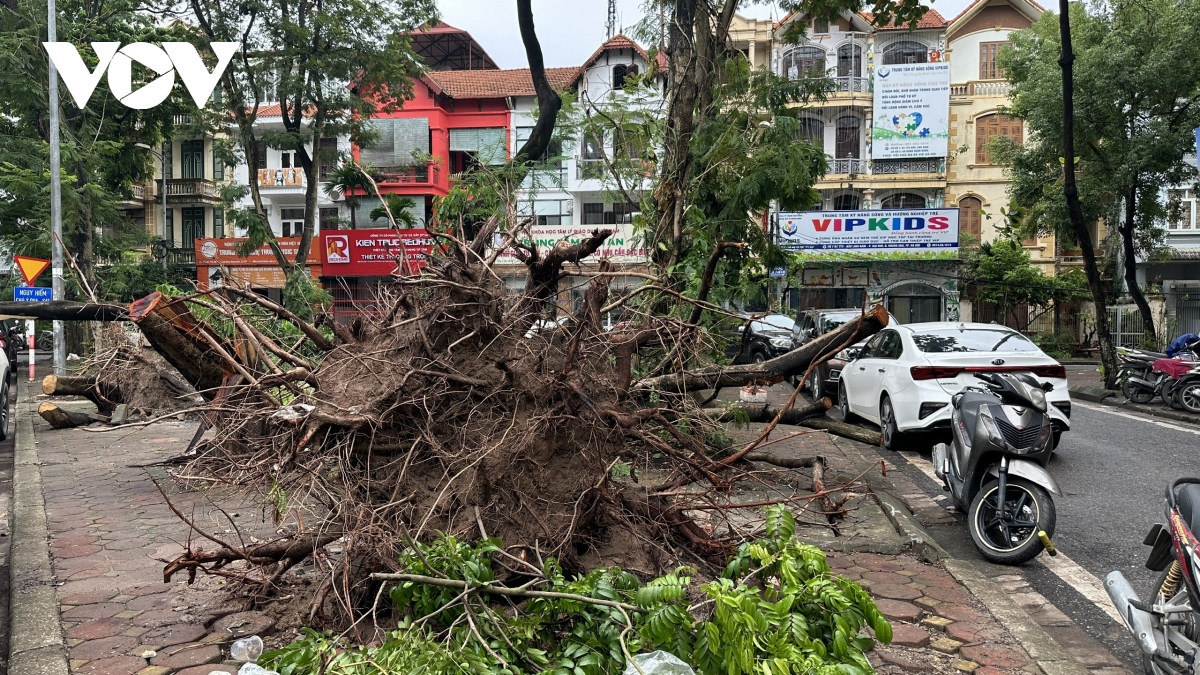 hai tuan sau bao so 3, nhieu tuyen pho, khu do thi o ha noi van ngon ngang cay bat goc hinh anh 8