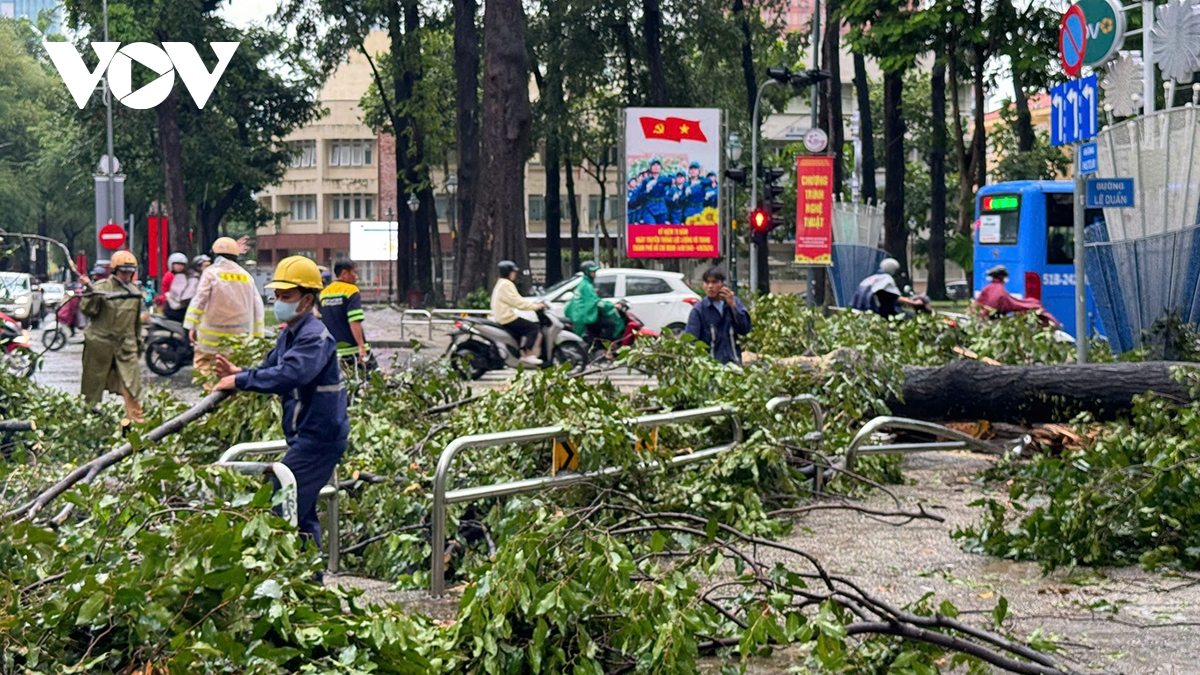 Đông Nam Bộ mưa dông lớn, cây xanh và trụ điện ngã đổ