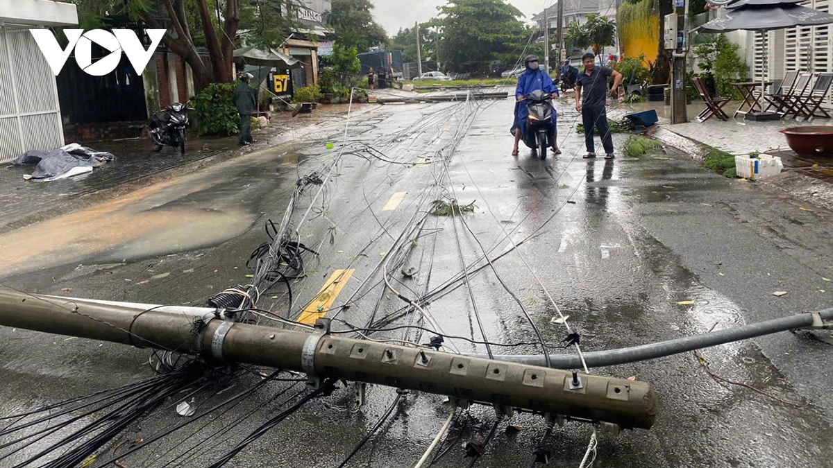 mua dong quat nga cay to va tru dien hinh anh 3