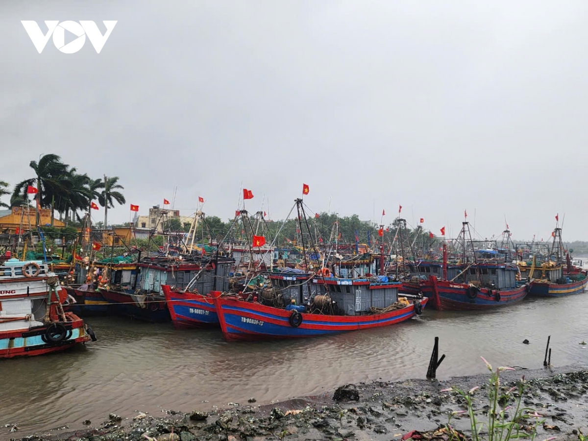 truc tiep bao so 3 dang tren dat lien quang ninh, hai phong, giat cap 16 hinh anh 131