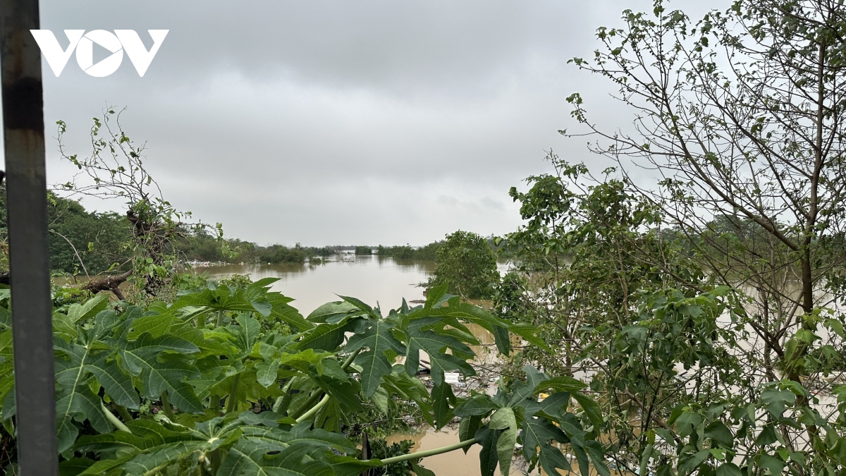 can canh lo nuoc lu song hong len cao, nguoi dan song ngoai de o ha noi tat bat chay lu som hinh anh 15