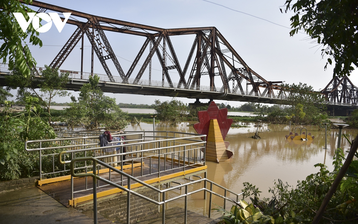 cong vien rung phuc tan o ha noi van chim trong nuoc hinh anh 1