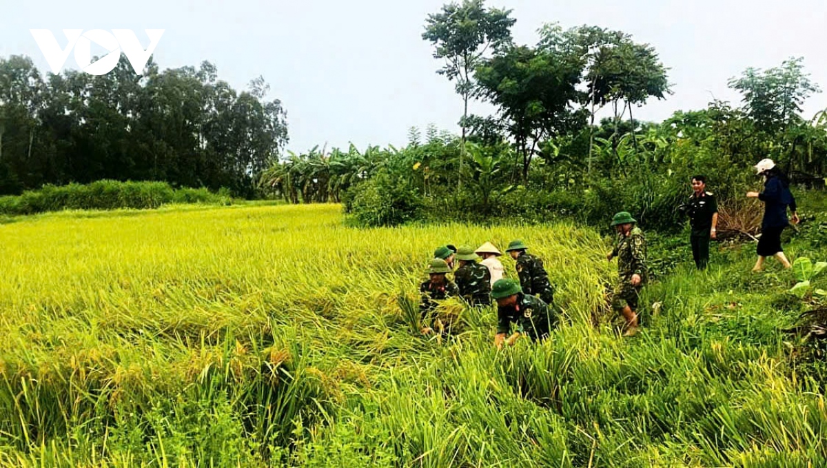 sieu bao yagi giam cap, co xu huong hoi nhich len tren hinh anh 24