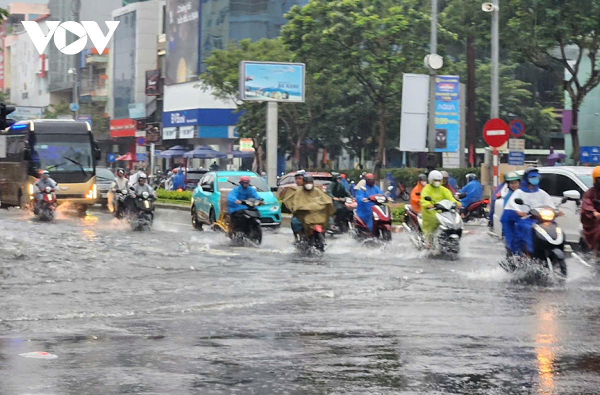 mua lon, ngap ung, un u cuc bo tai Da nang hinh anh 9