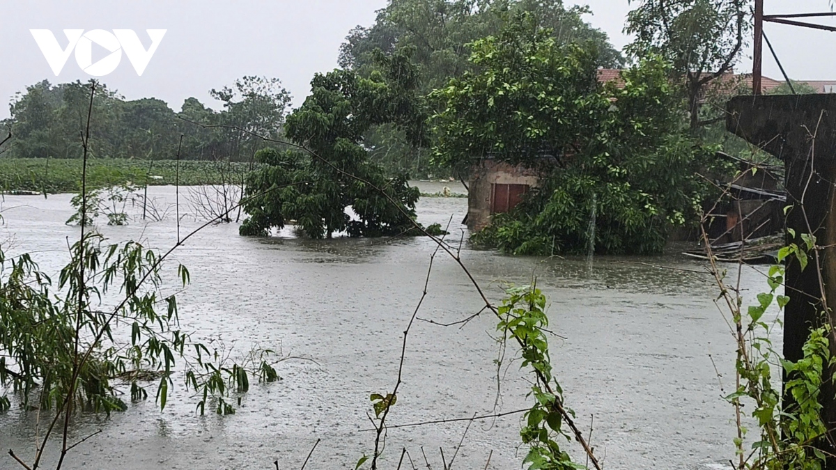 xa Dai Ang, thanh tri, ha noi cang minh dap de ngan lu hinh anh 1