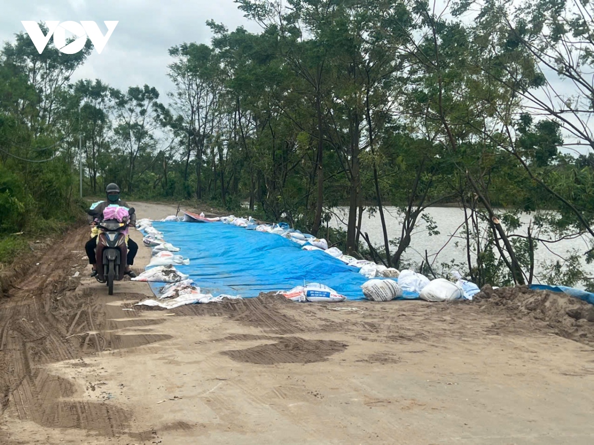 bac ninh gia co de, khac phuc hau qua bao so 3 hinh anh 9