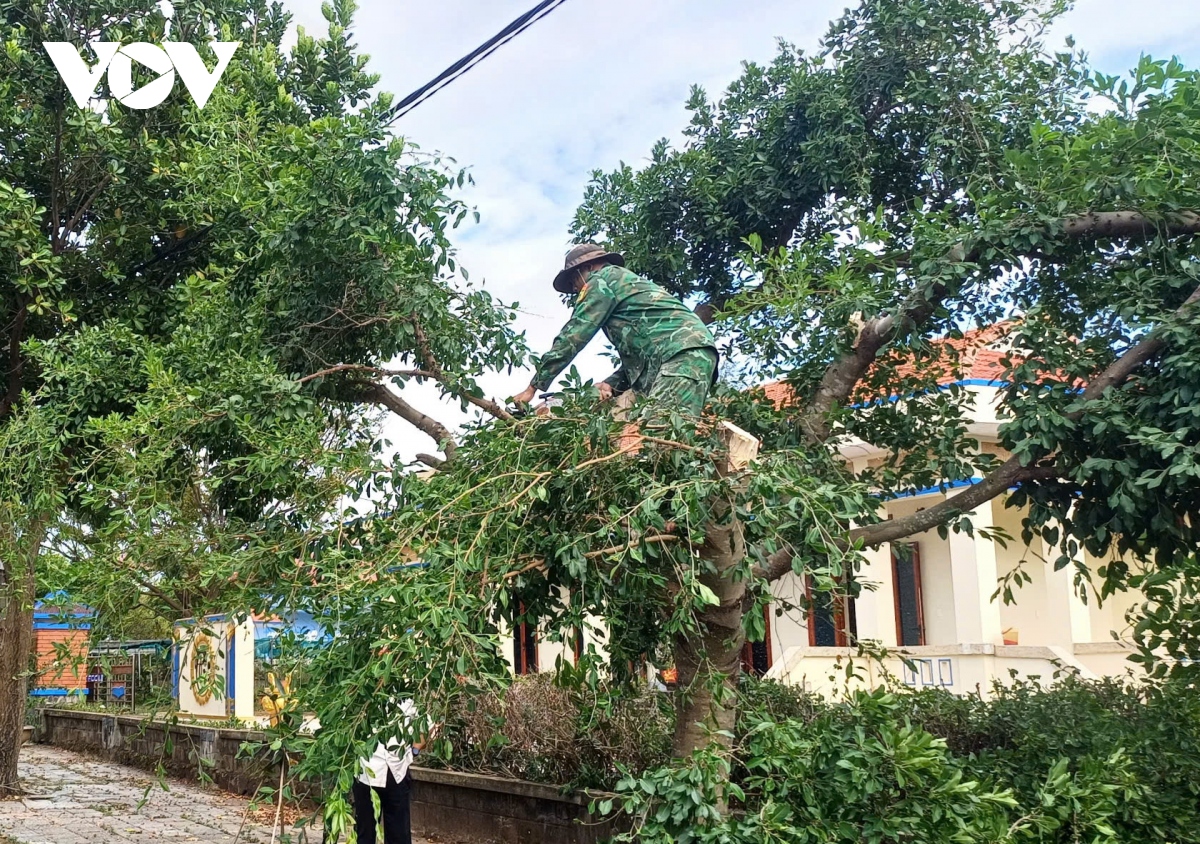 Huyện đảo Cồn Cỏ chằng chống ứng phó bão, du khách được đưa vào bờ