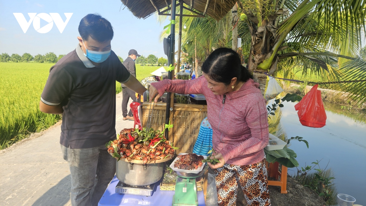 Dong thap trien khai mo hinh du lich trai nghiem he sinh thai nong nghiep hinh anh 1