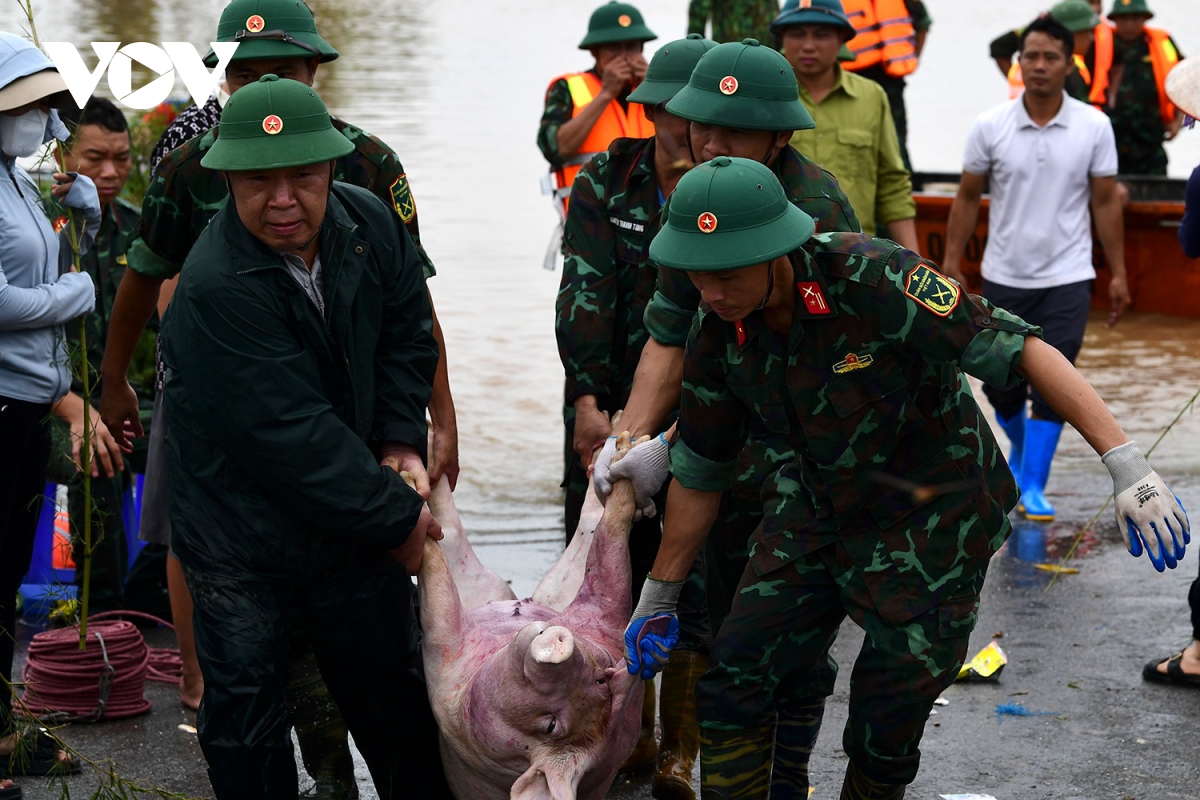 Nước lớn đổ về, người dân khu vực đê tả sông Hồng ở Hưng Yên oằn mình ...