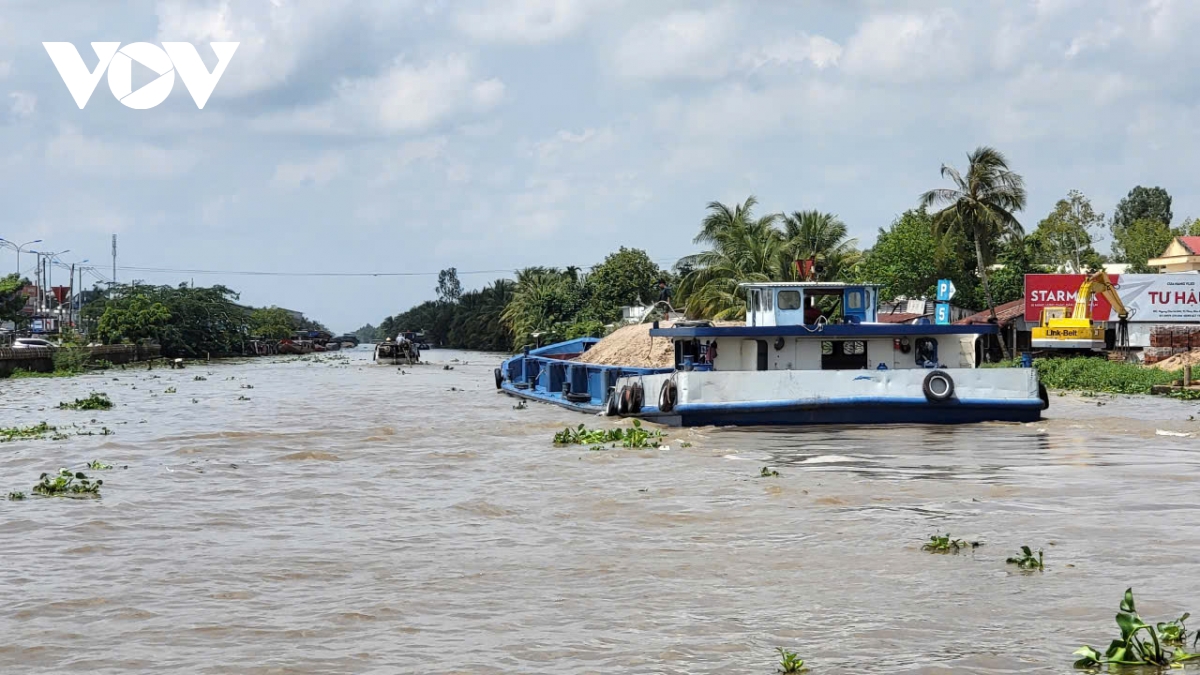 Dự báo triều cường vượt báo động 3, Hậu Giang tăng cường bảo vệ diện tích rau màu