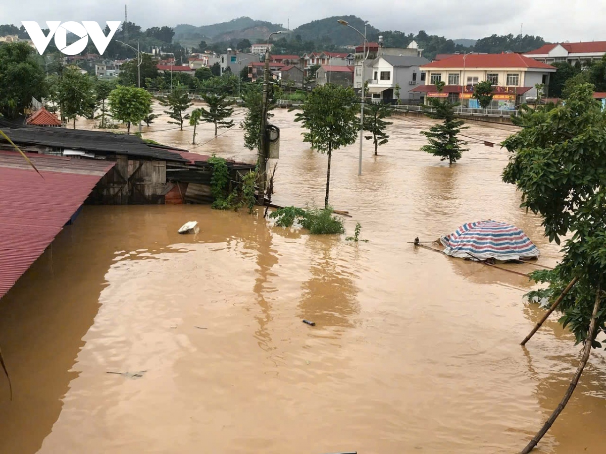 lu dang cao, nhieu noi o cao bang chim trong bien nuoc hinh anh 2