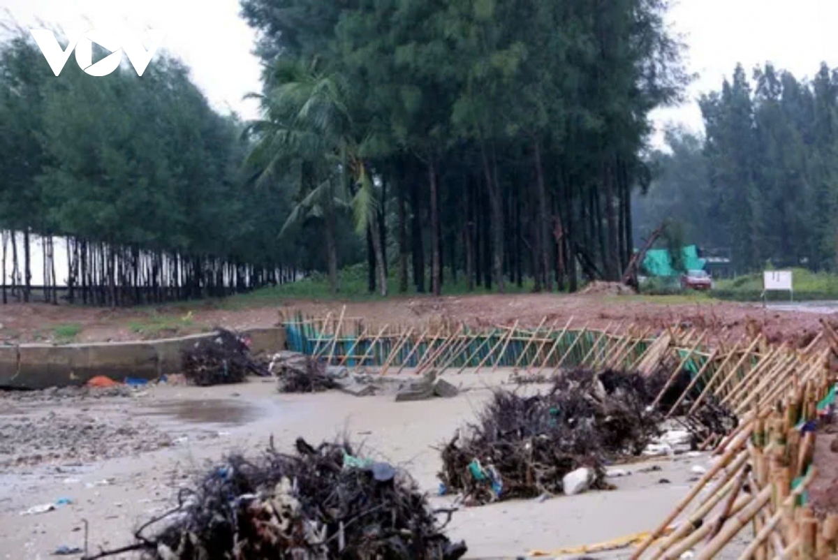 truc tiep bao so 3 dang tren dat lien quang ninh, hai phong, giat cap 16 hinh anh 57