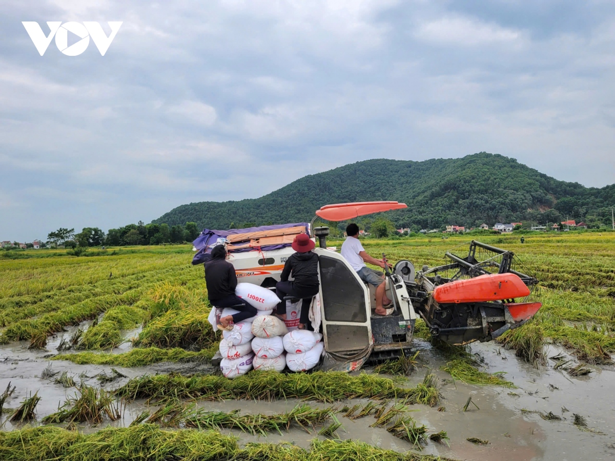 sieu bao yagi giam cap, co xu huong hoi nhich len tren hinh anh 13