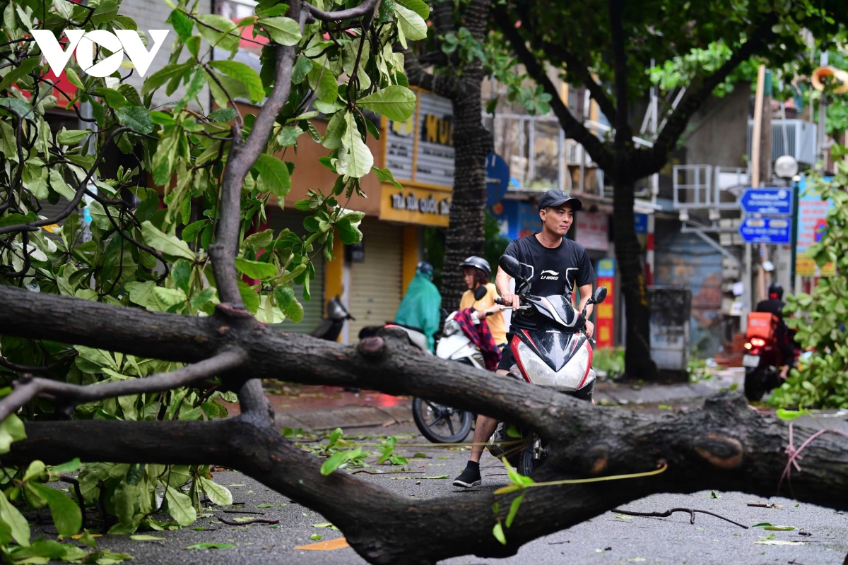 khung canh ha noi ngon ngang sau bao so 3 hinh anh 7