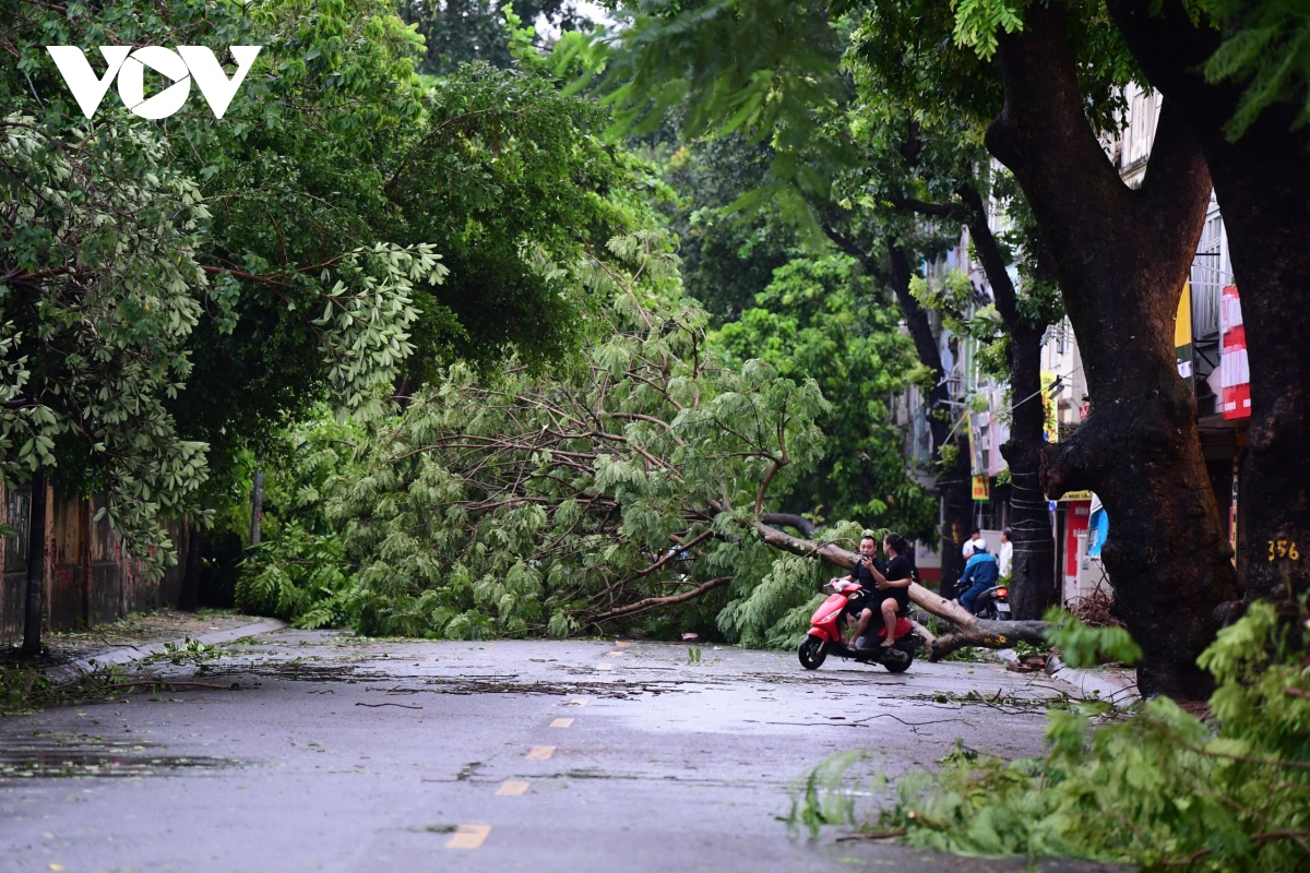 ha noi ngon ngang sau bao so 3 hinh anh 10