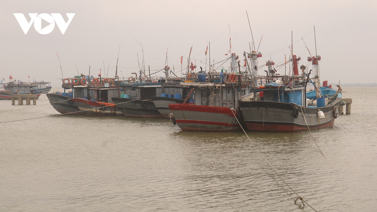 thua thien hue len phuong an di doi dan, cong bo diem cao de o to tranh ngap hinh anh 4