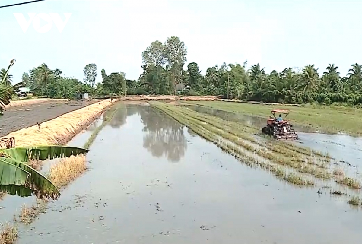 hieu qua cua viec xa lu lay phu sa o huyen binh tan, tinh vinh long hinh anh 2