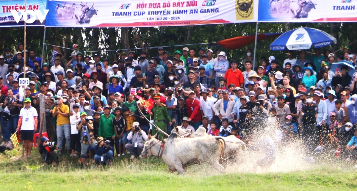 nhung hinh anh an tuong trong hoi dua bo bay nui an giang hinh anh 10
