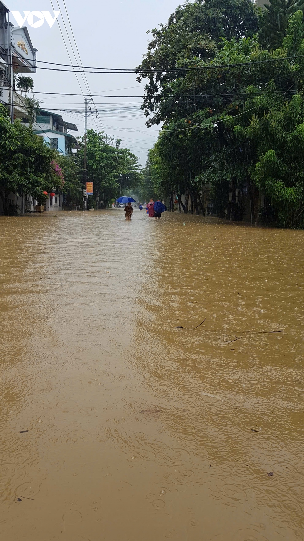 tuyen quang van dang trong tinh trang ngap nang hinh anh 2