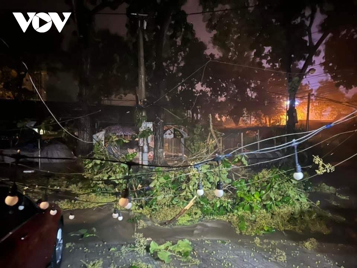 mua giong quat do cay coi, toc mai nha dan o son la hinh anh 1