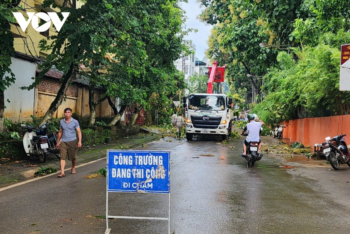 mua gio lon, nhieu cay co thu gay do o thanh pho son la hinh anh 5