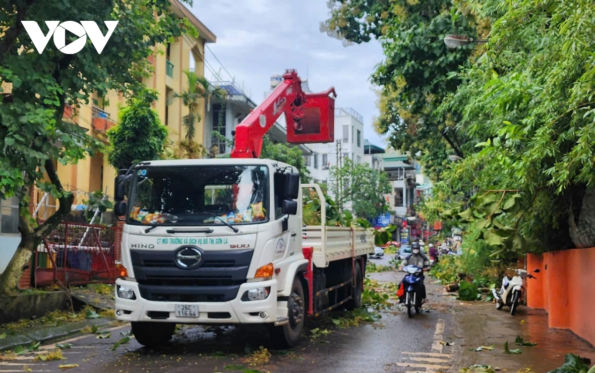 mua gio lon, nhieu cay co thu gay do o thanh pho son la hinh anh 7