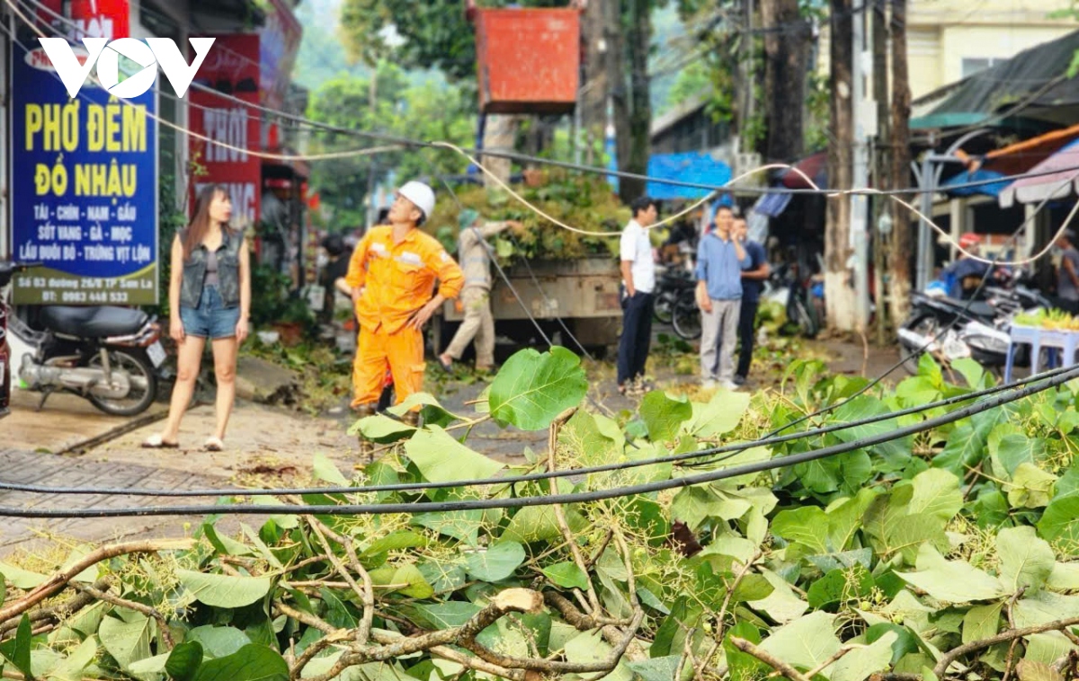 mua gio lon, nhieu cay co thu gay do o thanh pho son la hinh anh 8