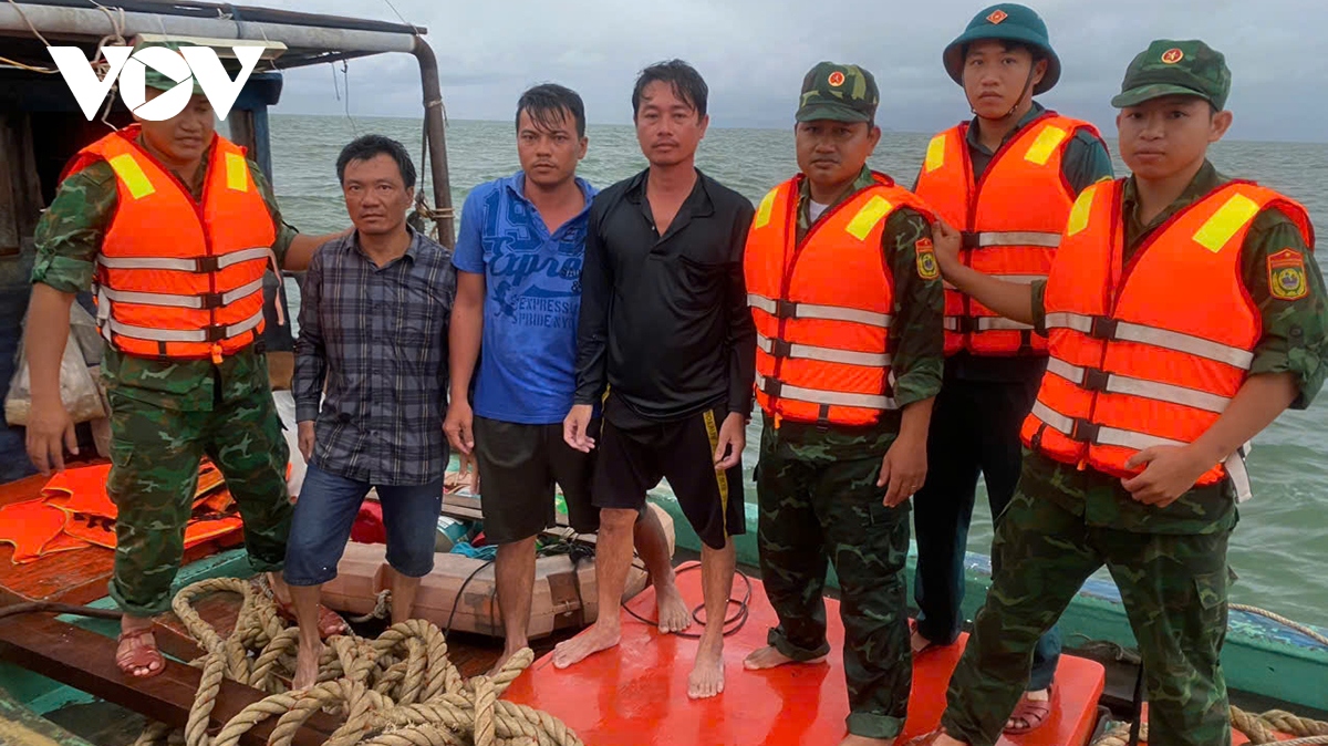 kien giang chim 1 sa lan cho vat lieu tren bien, nhieu nha dan bi sap, toc mai hinh anh 1