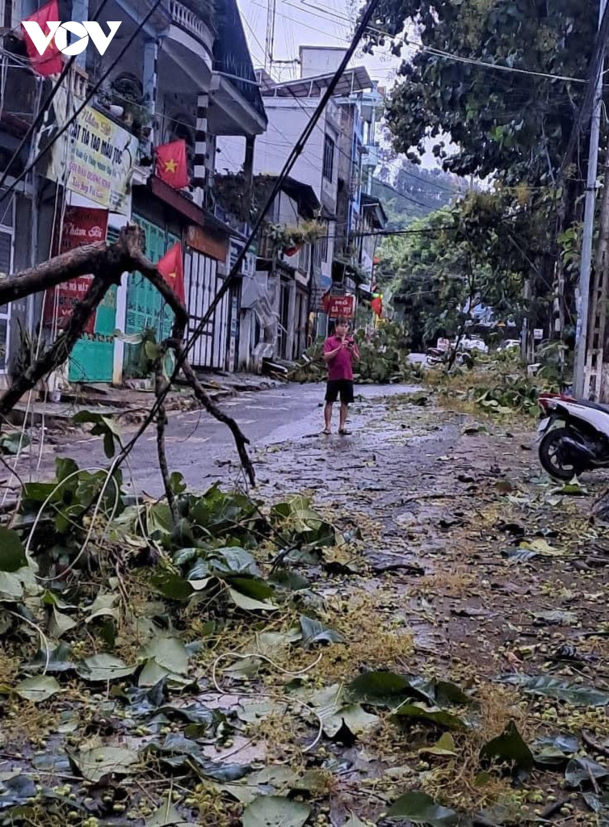 mua giong quat do cay coi, toc mai nha dan o son la hinh anh 9