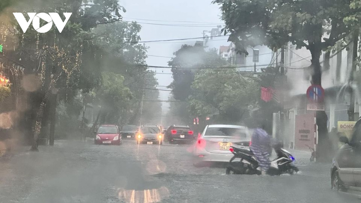 mua lon, ngap ung, un u cuc bo tai Da nang hinh anh 2