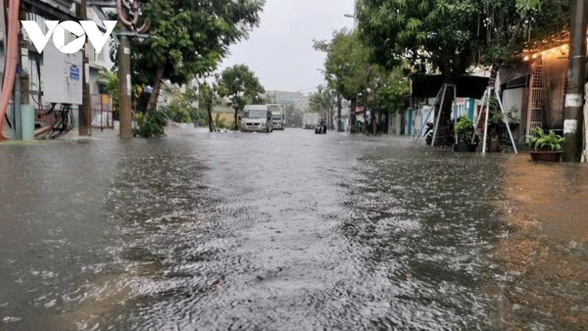 mua lon, ngap ung, un u cuc bo tai Da nang hinh anh 3