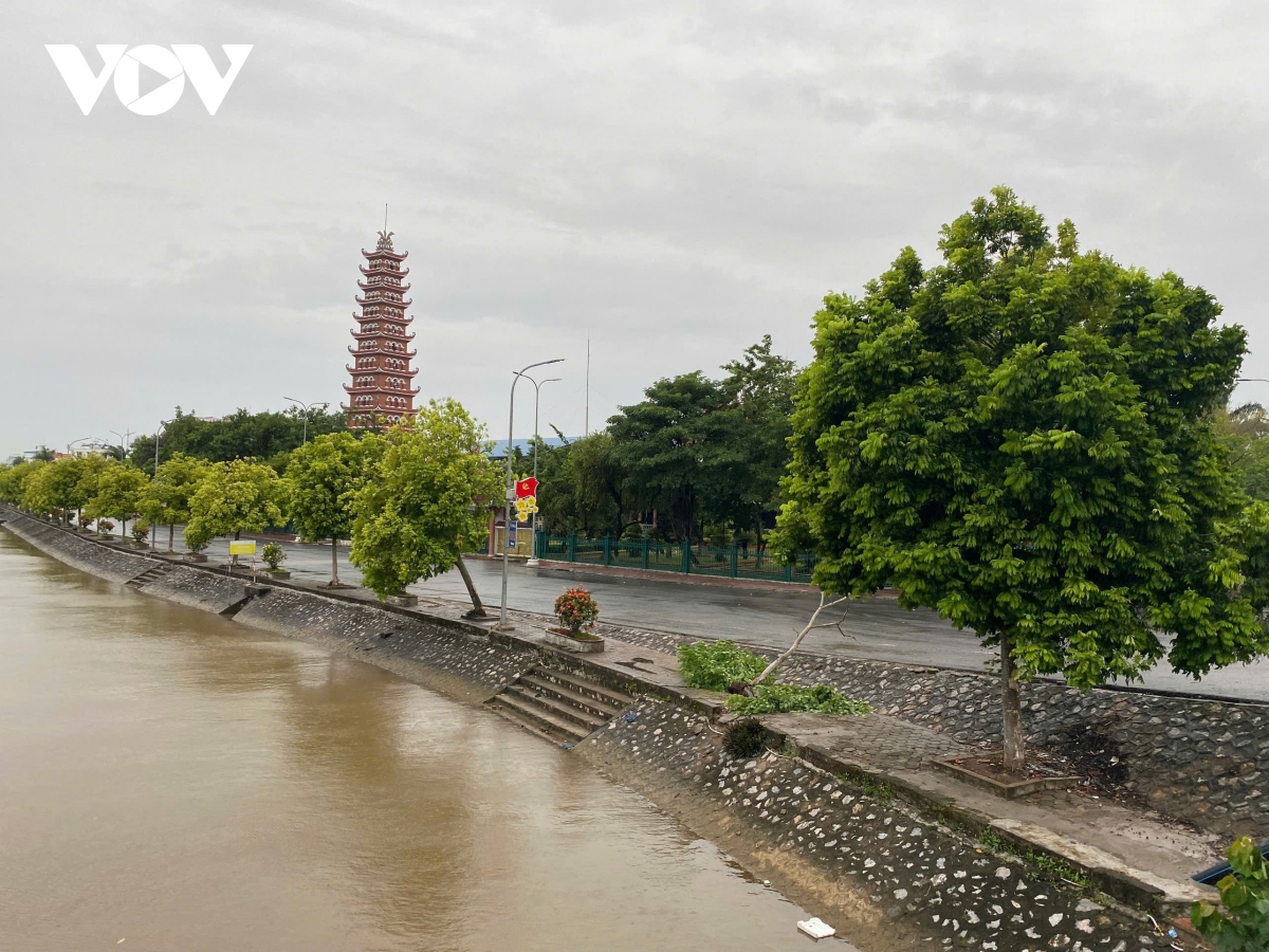 truc tiep quang ninh mat dien tren dien rong, gio rit tung con, cay do la liet hinh anh 151