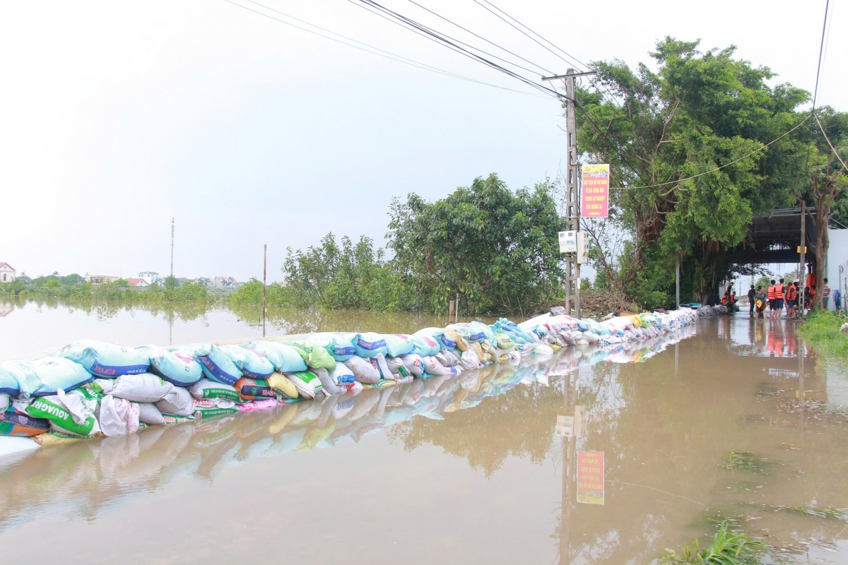 pho phu tuong tran hong ha kiem tra cong tac ung pho mua lu tai nam Dinh hinh anh 3